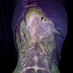 The Witch of Endor - Thumbnail Image 10