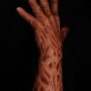 Incubus - Thumbnail Image 15
